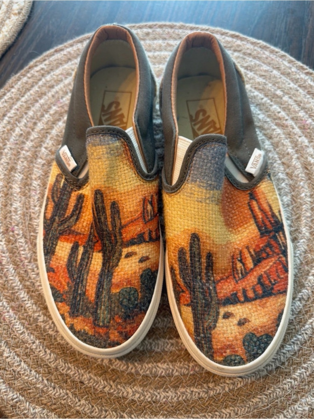Vans Slip-On Sneakers with Desert Cactus Print in Orange and Brown